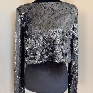 Dynamite Pewter Sequin Long-Sleeve Crop Top